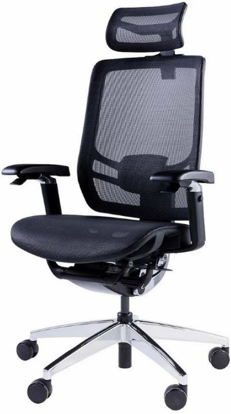 

Кресло GT Chair InFlex X цвет: черный, InFlex X