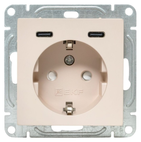 фото Розетка с заземлением с 2 USB  EKF UP1-SOI-111-2USBC