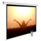 фото Экран  Cactus CS-PSME-220X165-WT в Екатеринбурге