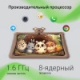 фото Планшет 10.1
