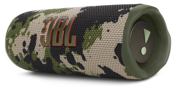 фото Портативная акустика 1.0 JBL Flip 6 в Самаре