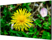 фото Панель LCD HIKVISION DS-D2055LE-G