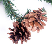 фото Гирлянда NEON-NIGHT 307-221