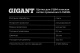 фото Щетка Gigant G-15030L