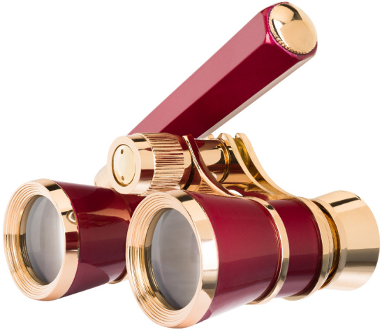 фото Бинокль  Levenhuk Broadway 325E в Санкт-Петербургe