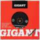 фото Диск алмазный Gigant G-10360