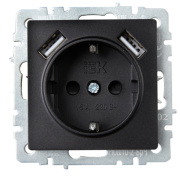 фото Розетка с заземлением IEK BR-R14-16-U21-D21-K46