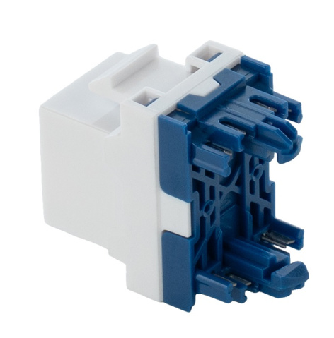 фото Модуль Keystone RJ45 UTP Filum FL-KJT-U5E-WT в Перми
