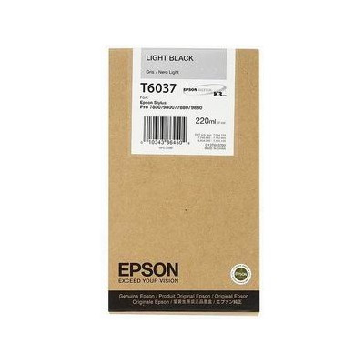 фото Картридж  Epson C13T603700 в Ростове-на-Дону