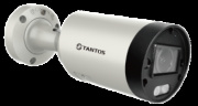 фото Видеокамера Tantos TSi-Pn253VZ