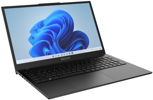 фото Ноутбук  Rikor NINO 203.1/17 в Екатеринбурге 17.6 ", Core i5, 16 Гб RAM, 512 Гб SSD, Iris Xe Graphics, Серый