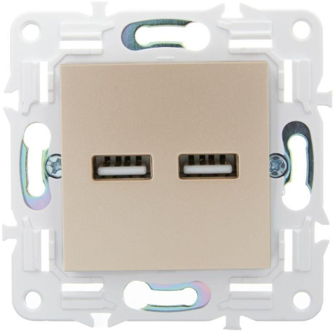 фото Розетка USB  IEK SK-U21-D31-K98 в Казани