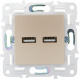 фото Розетка USB  IEK SK-U21-D31-K98 в Санкт-Петербургe