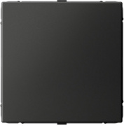 фото Заглушка Systeme Electric GAL001409