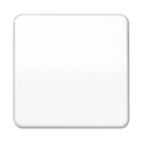 Изображение товара Клавиша Jung CD590WW накладка для выключателя серия CD 500, CD plus