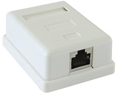 

Розетка настенная Cablexpert NAS212 RJ-45 кат.STP 5e внешняя экранированная 1 порт, 110&Krone, NAS212