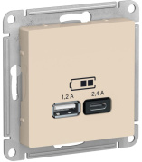 фото Розетка USB Systeme Electric ATN000239