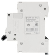 фото Автоматический выключатель Systeme Electric C9F14306