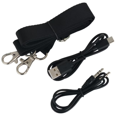 фото Акустическая система портативная Monster MFS 1 MS22139 в Санкт-Петербургe