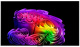фото Телевизор  LG OLED55G6RLA.ARUG