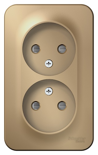 

Розетка Schneider Electric BLNRA001214 2-ая б/з со шторками 16А, 250В, изолир. пластина Титан наруж, BLNRA001214