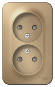 фото Розетка Systeme Electric BLNRA001214
