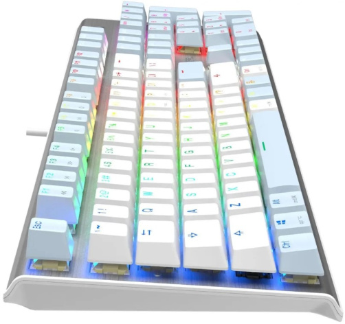 фото Клавиатура  A4Tech Fstyler FS100 Neon в Омске