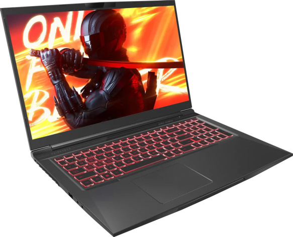 фото Ноутбук  Maibenben X725 в Красноярске 17.3 ", Core i5, 16 Гб RAM, 512 Гб SSD, GeForce RTX 4060, Черный