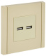 фото Розетка USB  IEK FP-U21-D31-K10 в Санкт-Петербургe