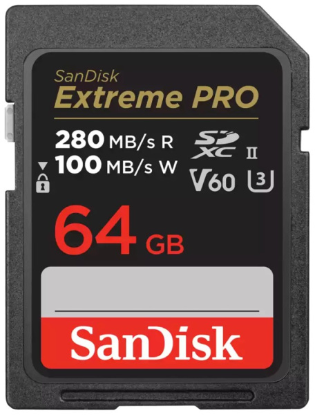 фото Карта памяти SDXC 64Gb SanDisk SDSDXEP-064G-GN4IN в Красноярске
