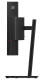 фото Монитор 34" Lenovo ThinkVision T34WD-40 в Перми