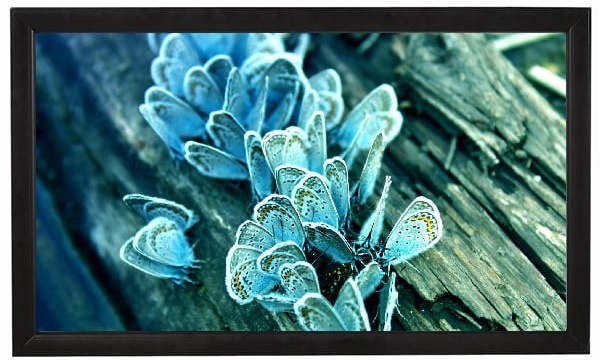 фото Экран  Viewscreen Omega OMG-16904 в Уфе