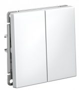 фото Выключатель двухклавишный Systeme Electric GAL001351S
