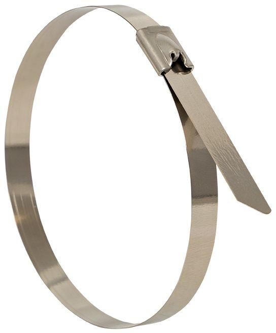 

Хомут EKF plc-fl-tss-304-4.6x150 AISI 304 из нержавеющей стали, 4.6x150 (100 шт.) FlexLock, plc-fl-tss-304-4.6x150
