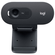 фото Веб-камера Logitech C505e HD Webcam