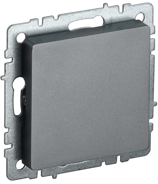 

Заглушка с суппортом IEK BR-PL10-K46 BRITE МЗ10-БрС Сталь, BR-PL10-K46