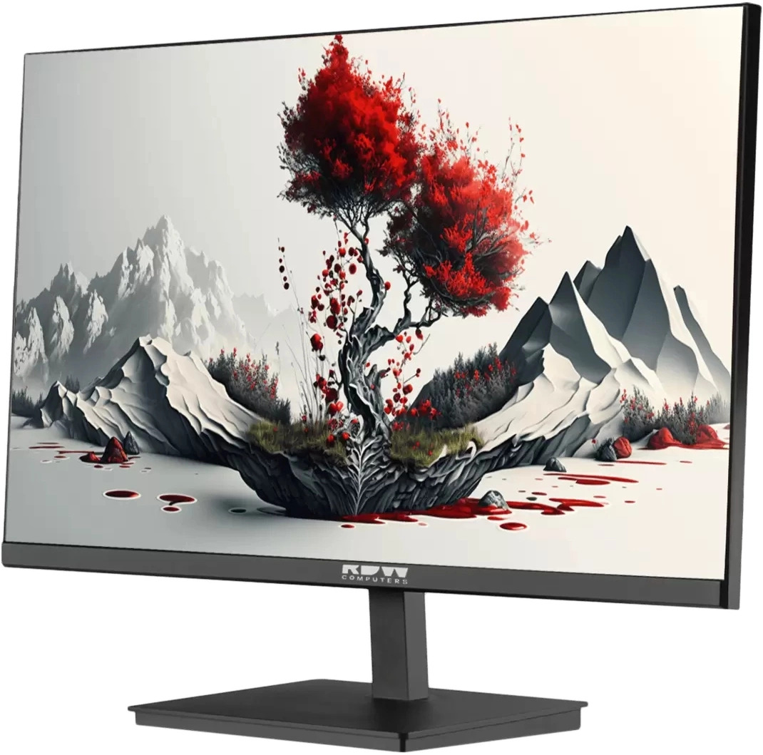 

Монитор 23,8" RDW Computers 2401K/F00В3120V2A1 черный IPS 5ms 16:9 HDMI M/M матовая HAS Piv 1000:1 300cd 178гр/178гр 1920x1080 120Hz VGA DP FHD (RUS), 2401K/F00В3120V2A1