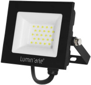 фото Прожектор Lumin'arte LFL-30W/06