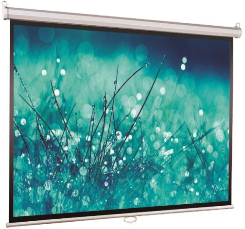 фото Экран  Viewscreen Scroll WSC-4302 в Екатеринбурге