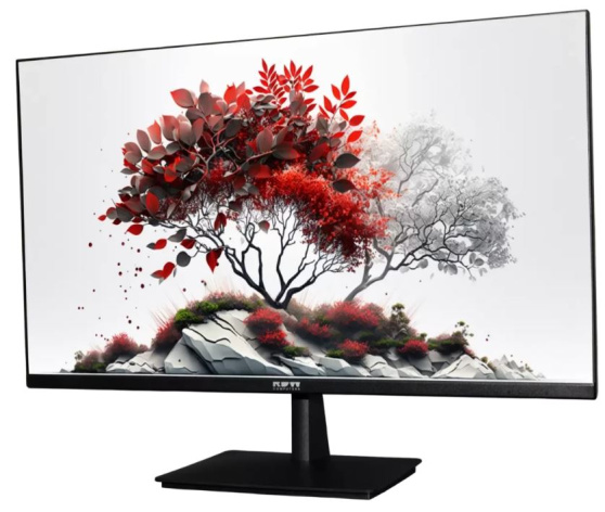 фото Монитор 27" RDW Computers RDW2701K в Омске