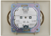 фото Розетка двухместная с заземлением IEK SK-R24-16-K10-F