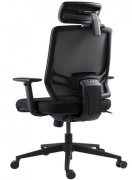 фото Кресло GT Chair InFlex Z