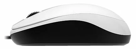 

Мышь Genius DX-120 31010010401 1000 dpi, 3 кнопки+колесо прокрутки, провод 1,5 м, USB, White, DX-120