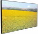 фото Панель LED  Ikar ПВ 55-117-300