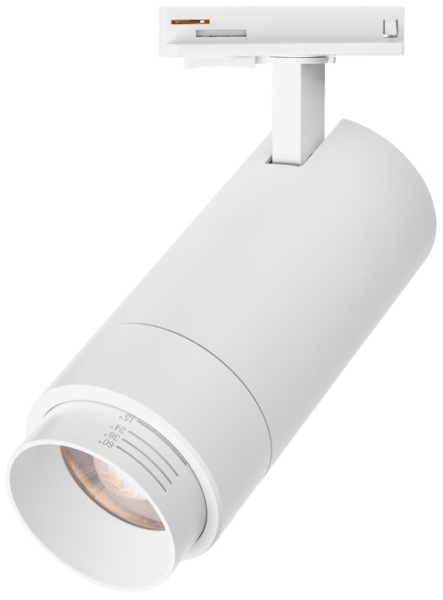 фото Светильник светодиодный WOLTA WTL-25W/02W в Красноярске