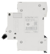 фото Автоматический выключатель Systeme Electric C9F34450