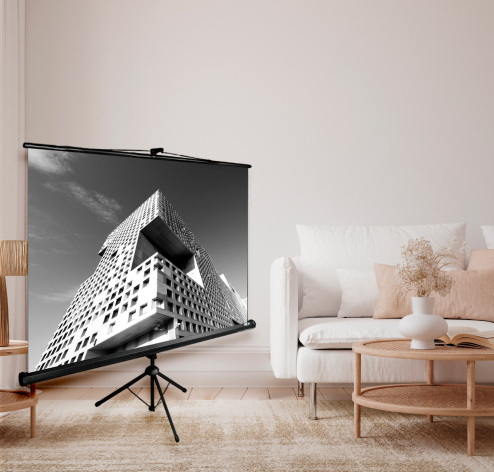 фото Экран  Cactus CS-PSTE-180X180-BK в Екатеринбурге