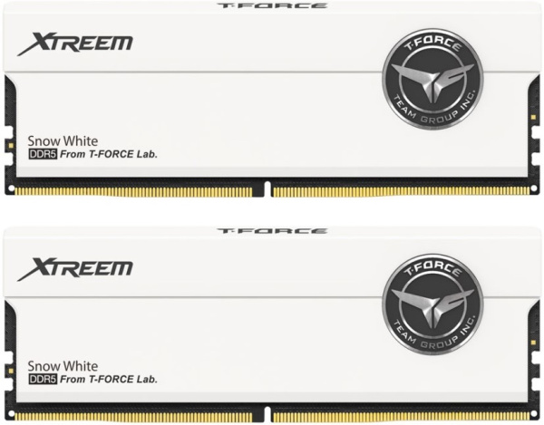 фото Модуль памяти DDR5 32GB (2*16GB) Team Group FFWD532G7600HC36FDC01 в Перми