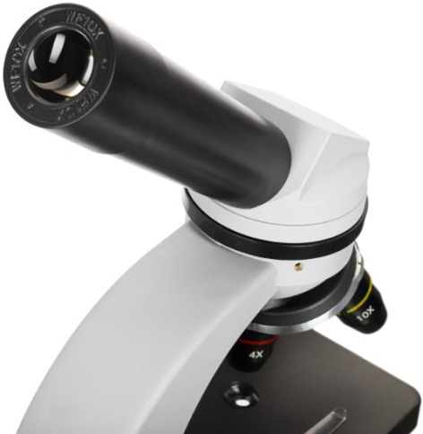 фото Микроскоп  Levenhuk Discovery Nano Polar в Санкт-Петербургe