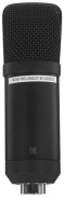 фото Микрофон Ritmix RDM-180
